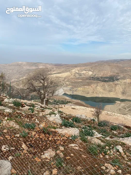 14 قطعة أرض في أجمل مناطق كفرنجه في عجلون