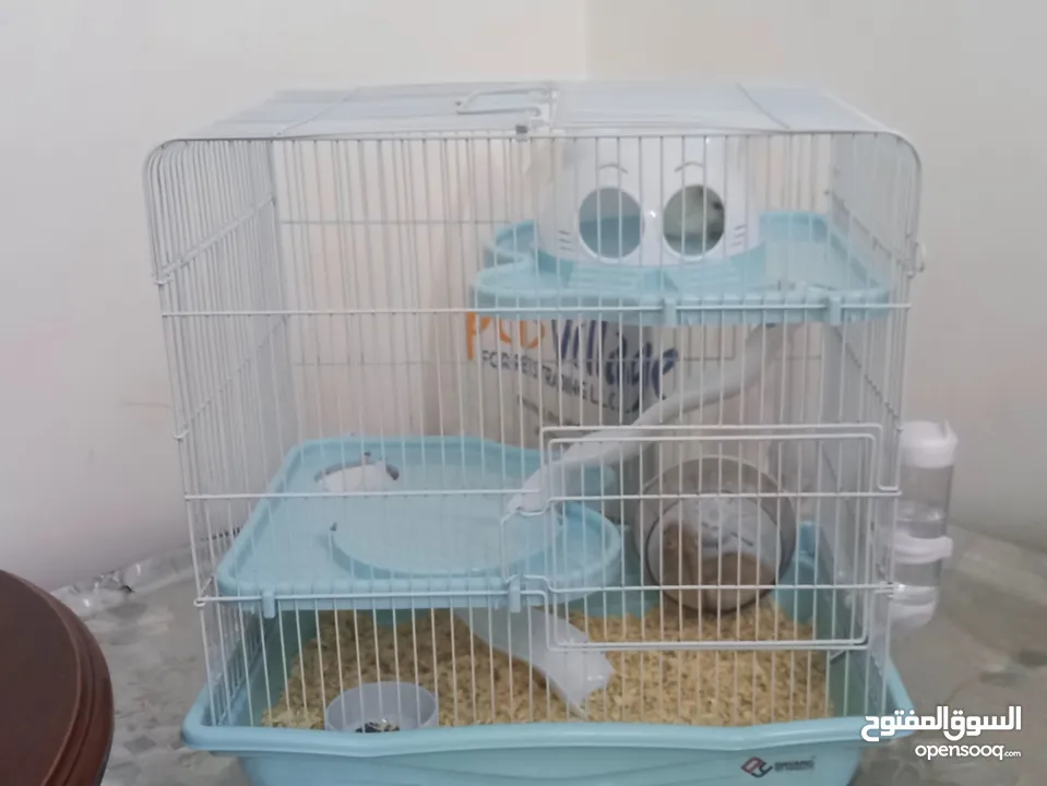 قفص هامستر  hamster cage