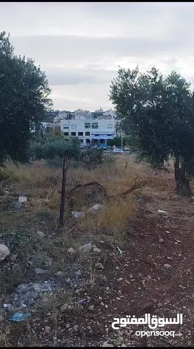 من المالك دونم في شفا بدران ابو القرام سكن أ بين الڤلل وقريب من الخدمات