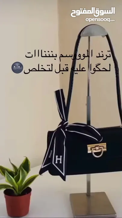 حقائب بناتيه دزاين كوري