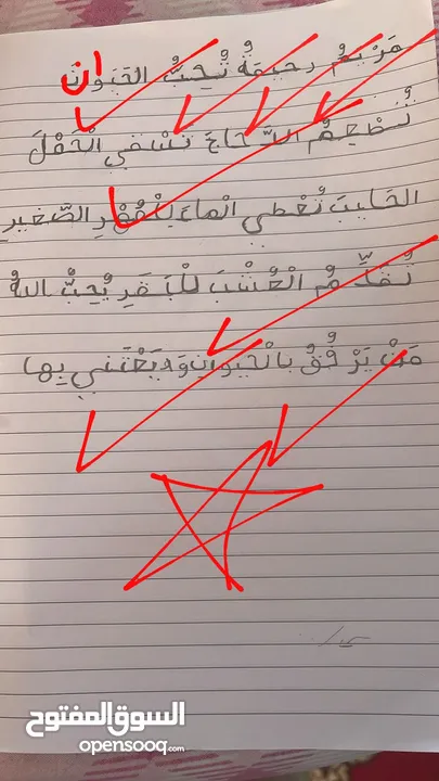 تدريس مادة اللغة العربية ( ابتدائي) خبره خمس سنوات في مجال التأسيس والصفوف الأولية