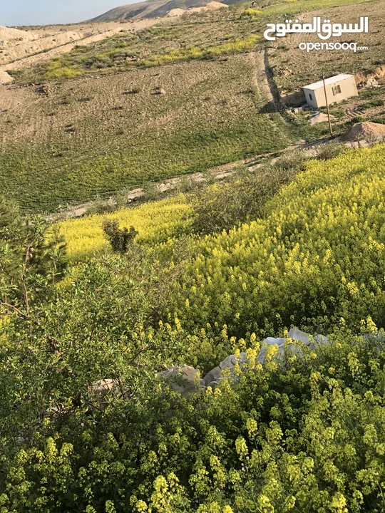أرض بسعر مغري