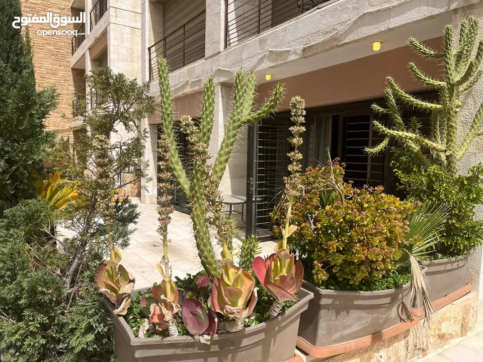 شقة مفروشة للإيجار  ( Property 43122 )-175083270