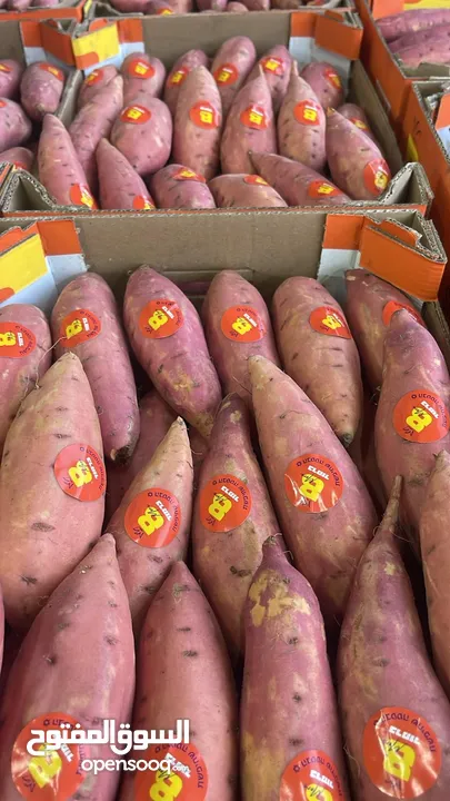 مشروع تجاري مربح بحاجه لتمويل