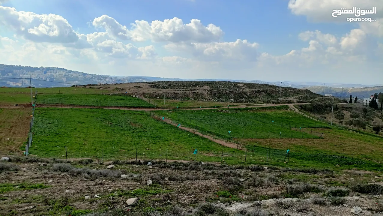 نمرتين ارض للبيع
