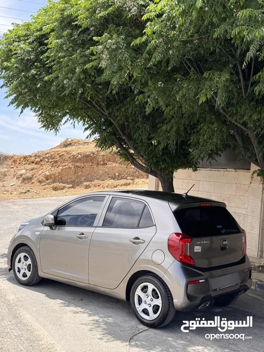 كيا مورنينج وارد كوري فحص كامل جمرك جديد