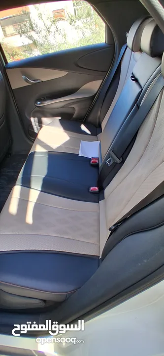 BYD 2023 دولفين