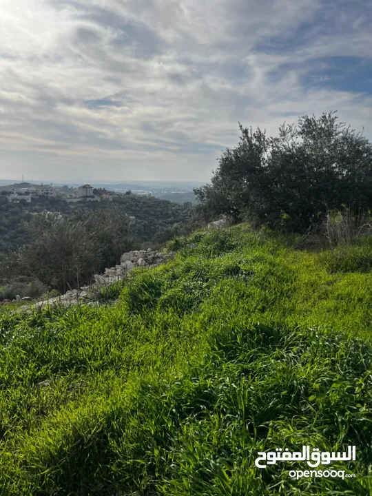 أرض للبيع بإطلالة غربية واصل جميع الخدمات