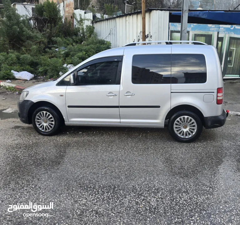 كادي 2011 رخصه