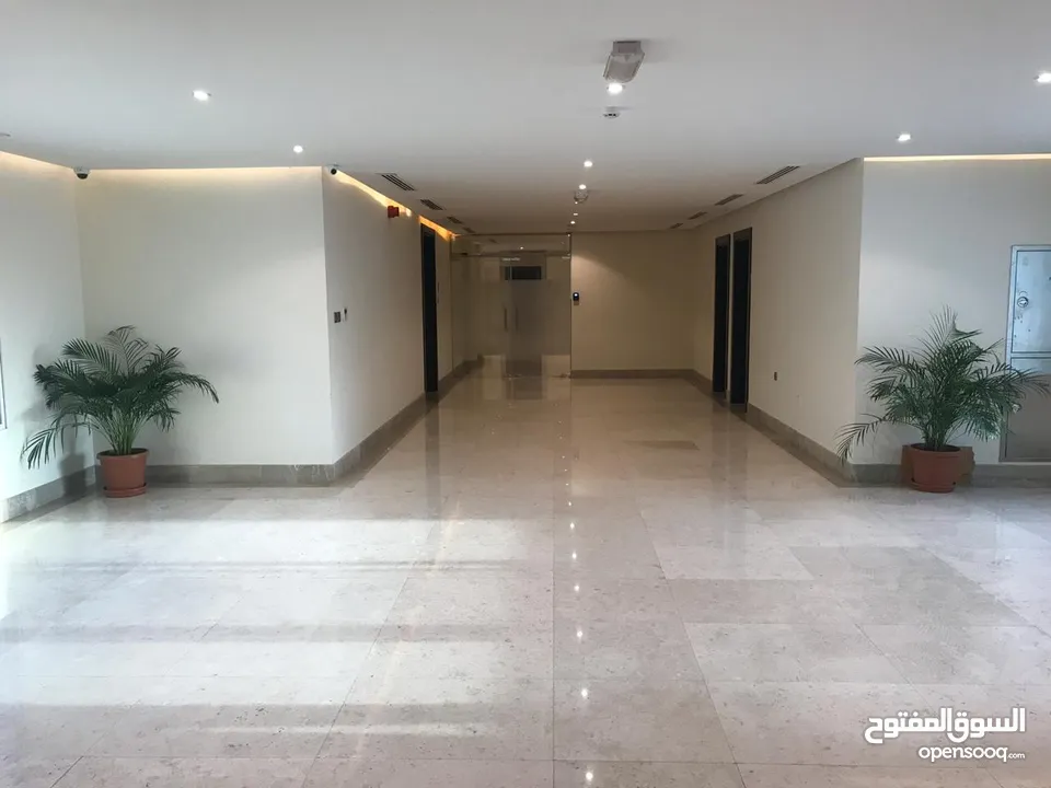 High Luxury Apartment for rent in Aziba south