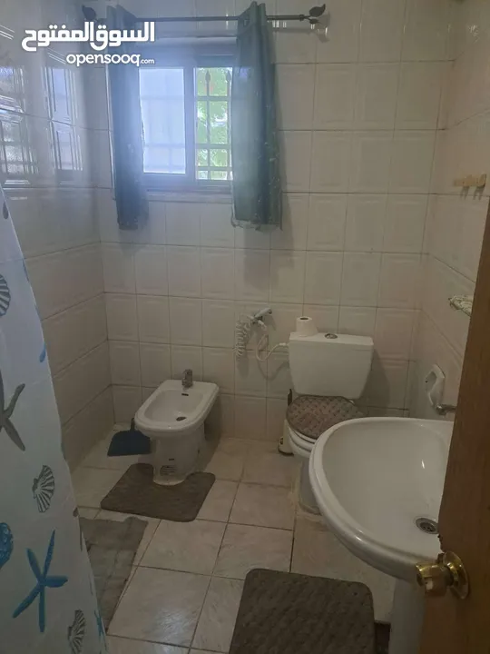 استيديوهات مفروشة شامل ماء وكهرباء وانترنت