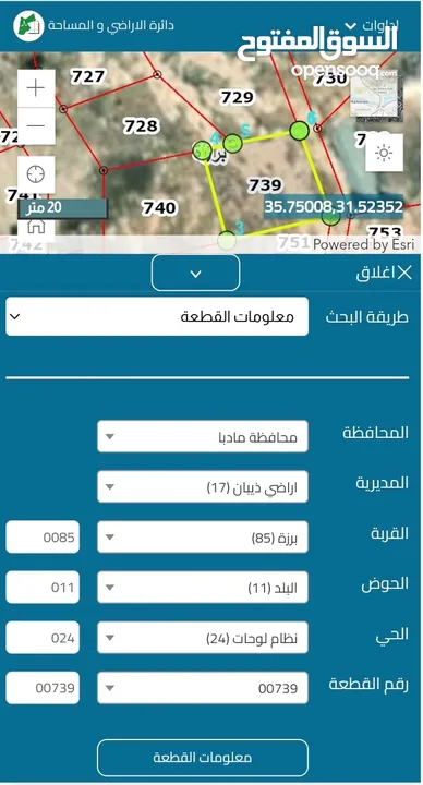 ارض في منطقه ذيبان برزه حوض البلد