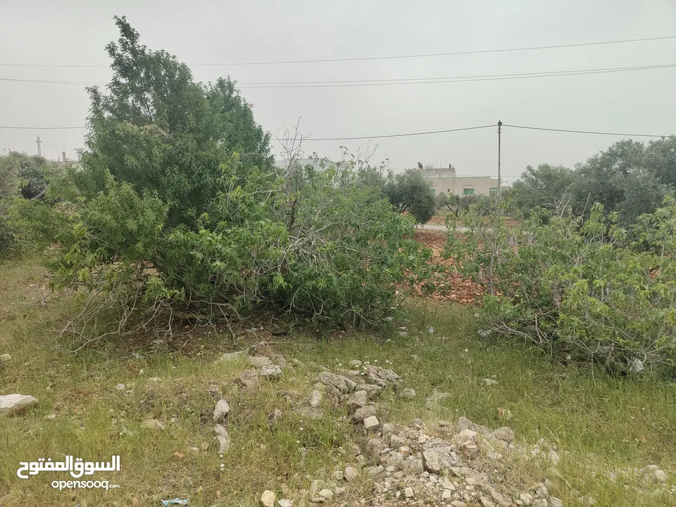 ارض سكنيه للبيع في مرو