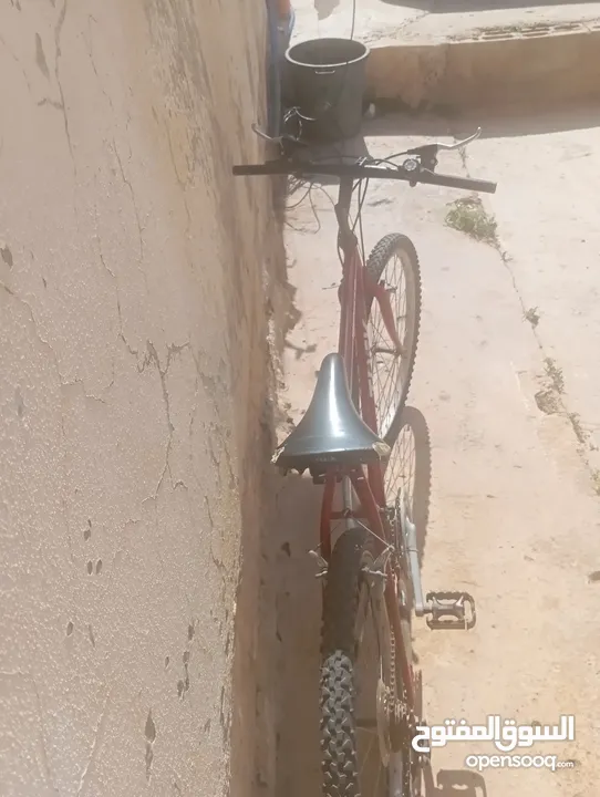 بسكليت. TREK