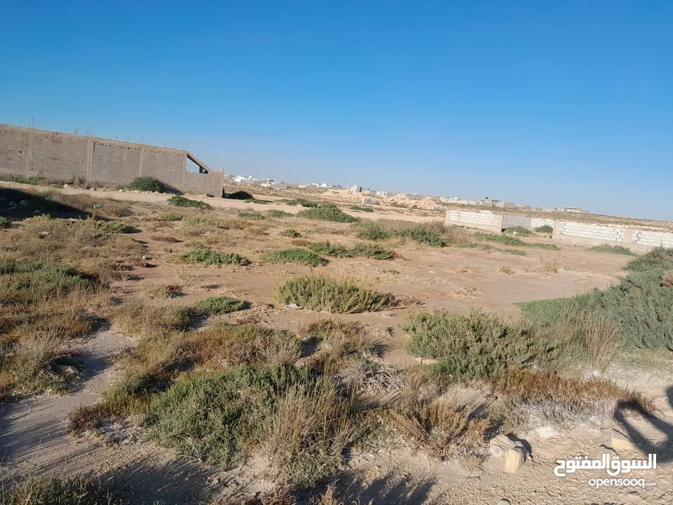 قطعة أرض فاضيه في الترية قبل شيل بنزينة  موقعها ثاني قطعة قبل شط البحر