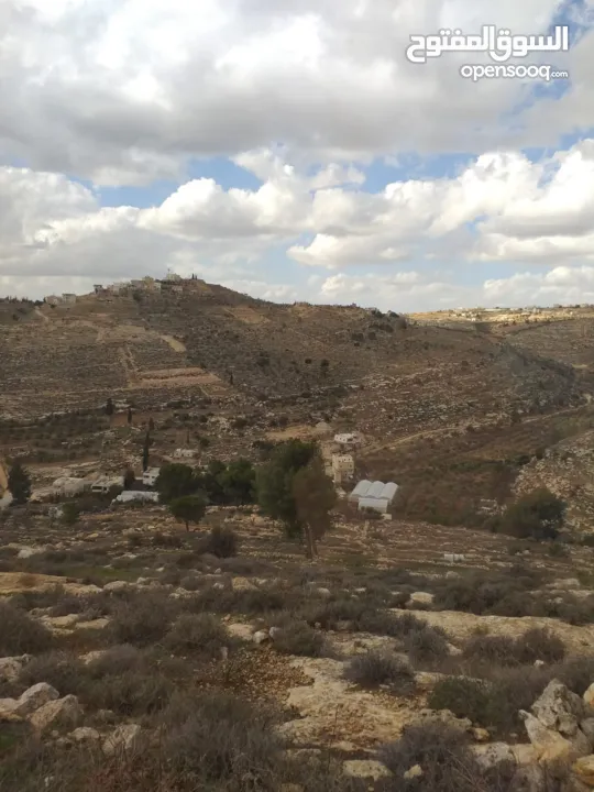 ارض للبيع او البدل كوشان طابو جاهز
