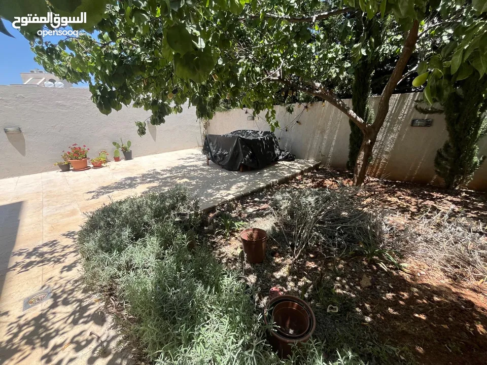 Three bedroom apartment for rent ( Property 37710 )-174804903