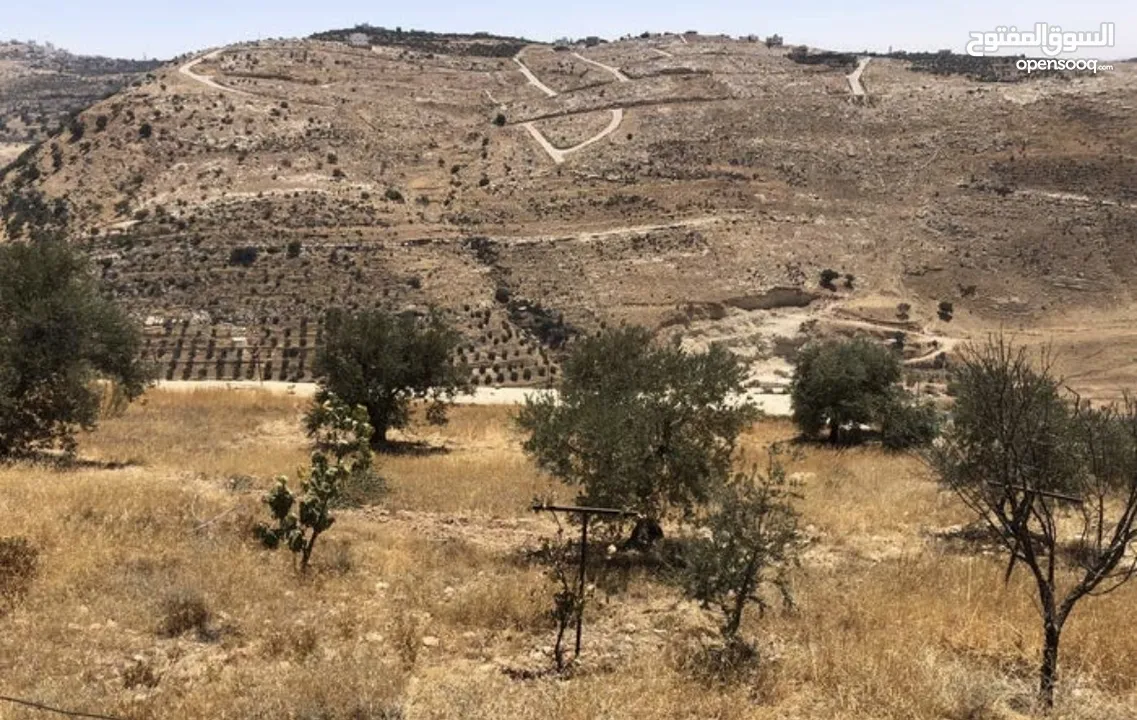 مزرعة للبيع في السلط