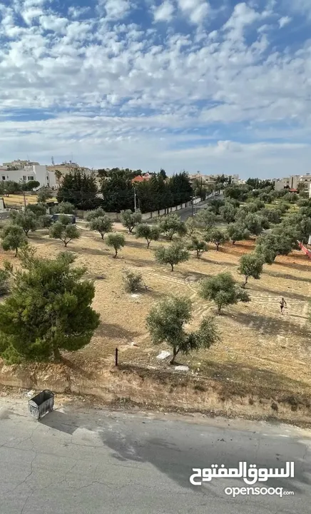 شقة مع رؤؤف للبيع ، الجبيهه ، عمان ، الأردن ، الأردن ، الأردن ، الجبيهه ، عمان ، الأردن ، الأردن،،