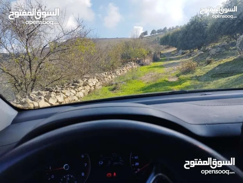 أرض استثماريه مميزه بجبال عجلون السياحيه
