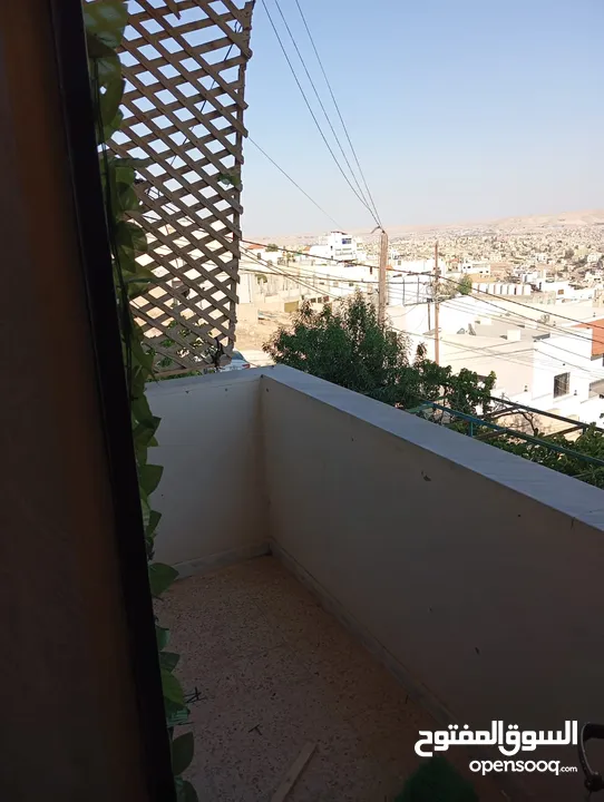 شقه للايجار
