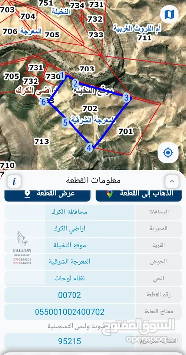 قطعة أرض إستثمارية مميزة جدا 95 دونم في محافظة الكرك . موقع نخيلة