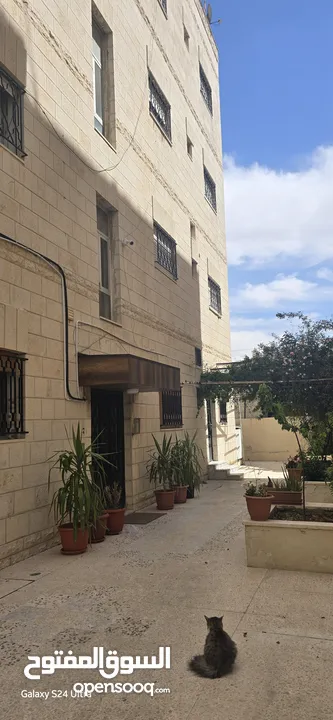 عمارة استثمارية بضاحية الامير حسن للبيع من المالك مباشرة