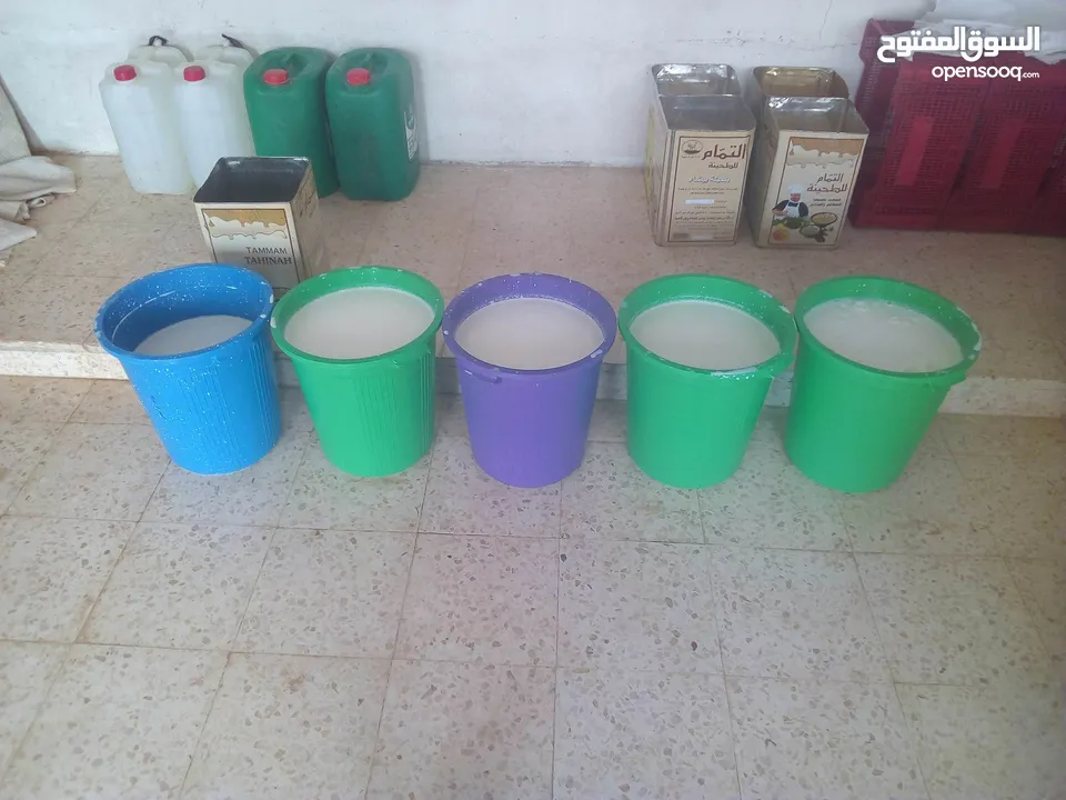 مطلوب شريك ممول لمعمل اجبان  يعمل بشكل جيد