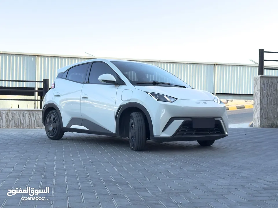 بي واي دي سيجال  ممشى قليل لون بيج