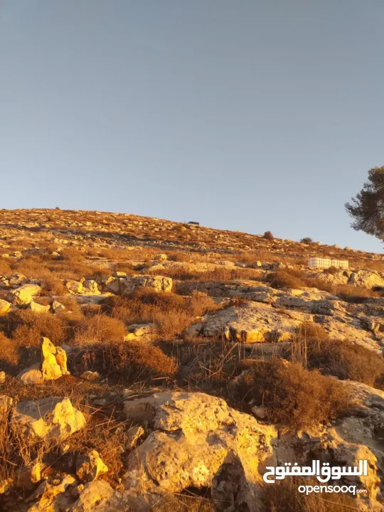 ارض للبيع او البدل كوشان طابو جاهز