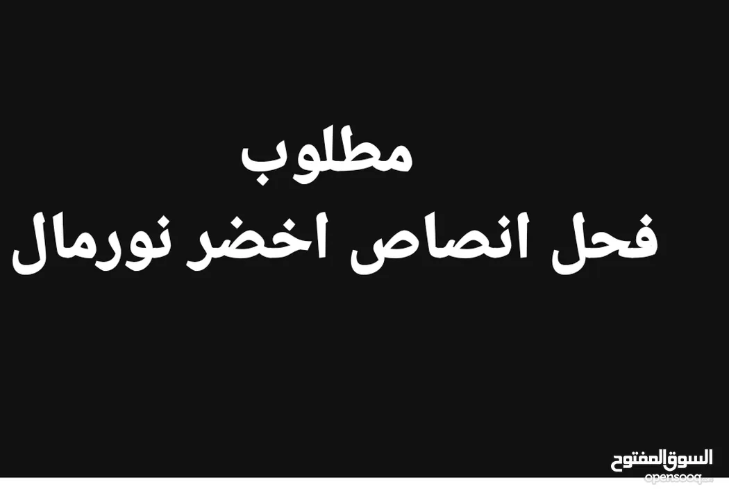 اريد فحل انصاص نورمال اخضر