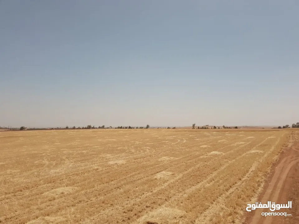 مادبا ماعين المشرفة قطعة ارض زراعية مميزة واصل الخدمات ذات اطلالة على البحر الميت واصل الخدمات