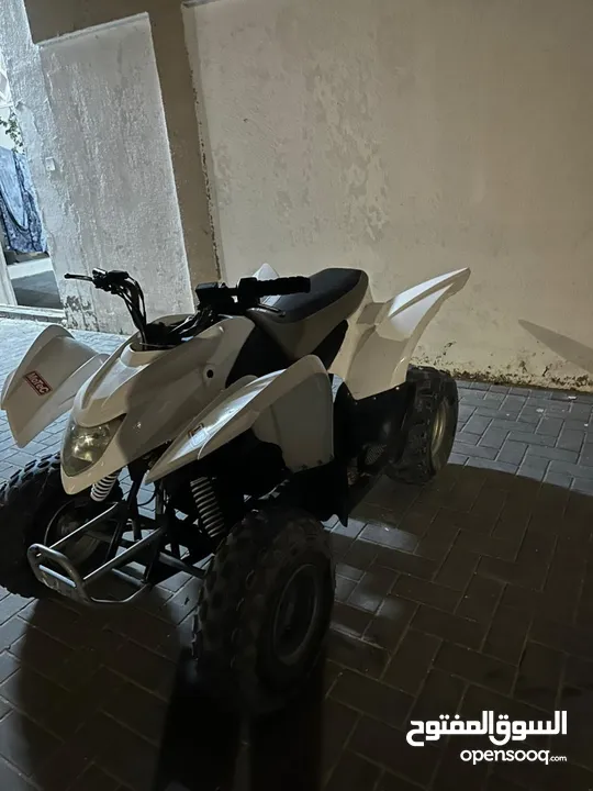 كوبرا 100cc