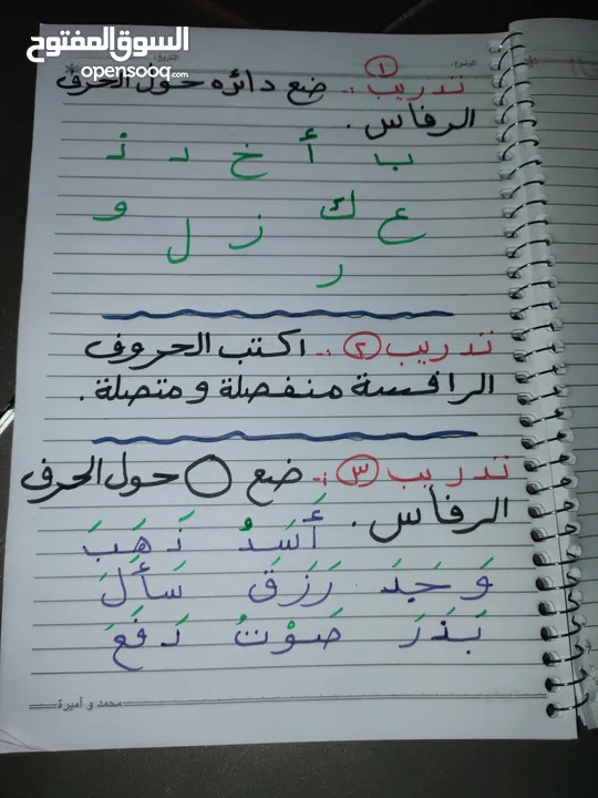 تدريس مادة اللغة العربية ( ابتدائي) خبره خمس سنوات في مجال التأسيس والصفوف الأولية