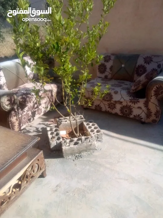 بيت للبيع في قريه دليله المطيرات شرق مادبا