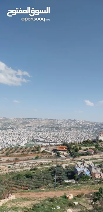 ارض للبيع عين الباشا حوض الخرشا للبيع كاش فقط تبعد عن مطل وكافيه جبل 200 تقريبا المنطقة سكنية واصل ج