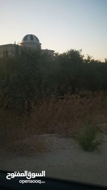 ارض مميزة للبيع في جيوس مساحات متعددة طابو منطقة بي..