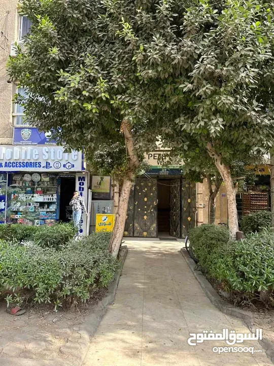 شقة مفروشة للبيع في القاهرة ( المعادي )