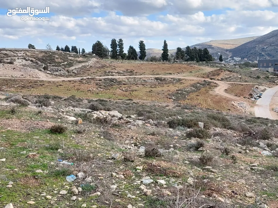 نمرة ارض للبيع في اجمل منطقة في نابلس عصيرة الشمالية ذات اطلالة رائعة على مدينة نابلس