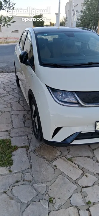 BYD 2023 دولفين