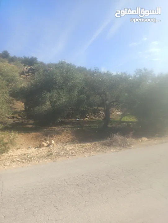 ارض زراعيه في بلعا دير الغصون