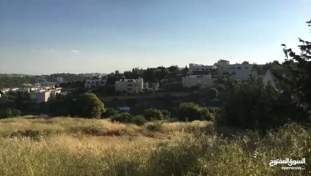 ارض للبيع دابوق أراضي شمال عمان ام شومره