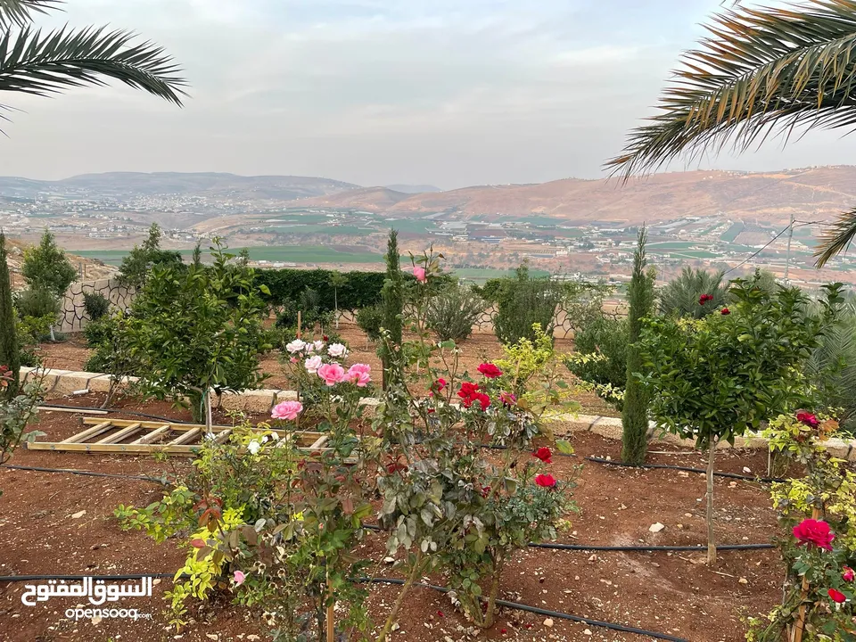 ارض للبيع في النصارية