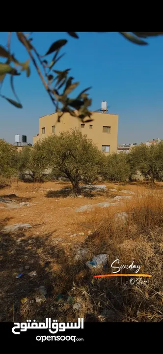 ارض مميزة للبيع في حي الصوانة في طولكرم