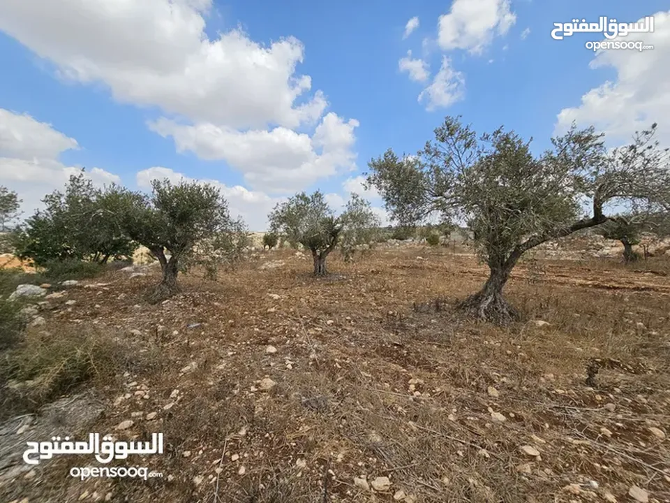 فرصة استثمارية لا تعوض . ارض مميزة للبيع في بيت قاد