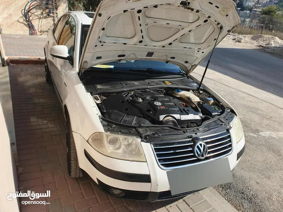 بسات فراشة B5.5+
