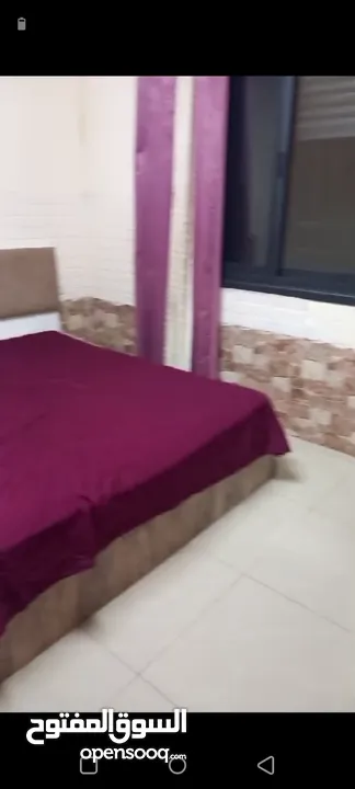 شقه مؤثثه مدخل خاص للإيجار