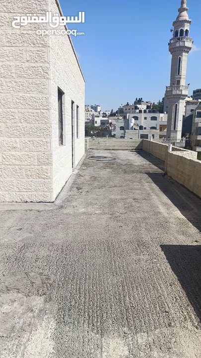 رووف عظم للبيع