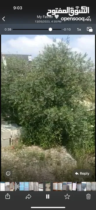 ارض للبيع في الخمارة دير الغصون 860 متر