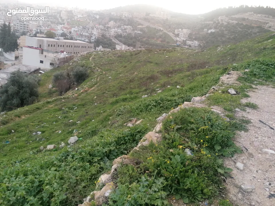 فرز جديد أجمل ارض في عجلون مرتفعه على جبل ومطله على جبال عجلون لغايات السكن / فلل / اسكانات